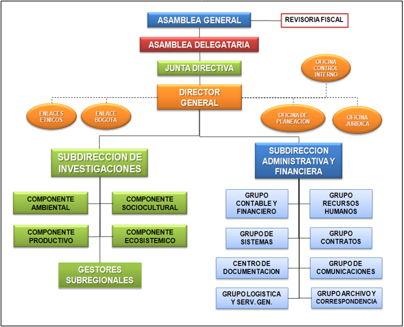 Estructura Organica